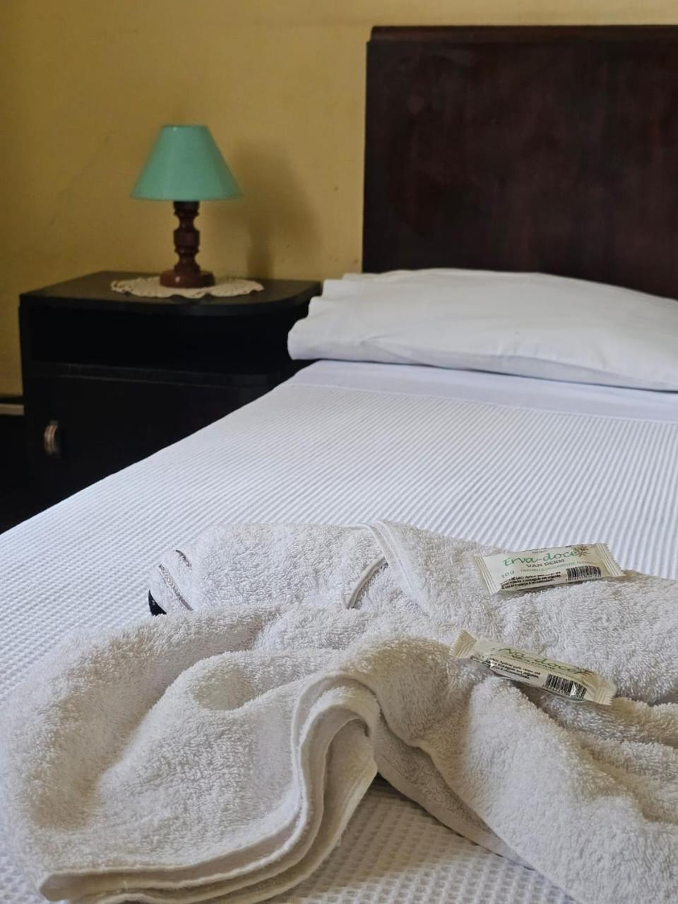 Varzea Palace Hotel Teresopolis Ngoại thất bức ảnh